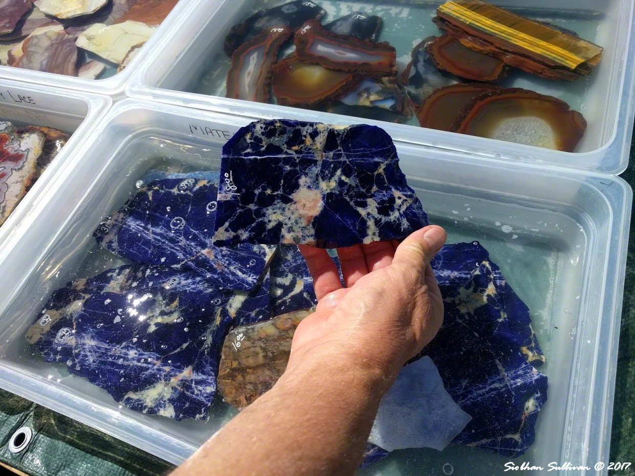 Rock Show Madras, Oregon bend branches