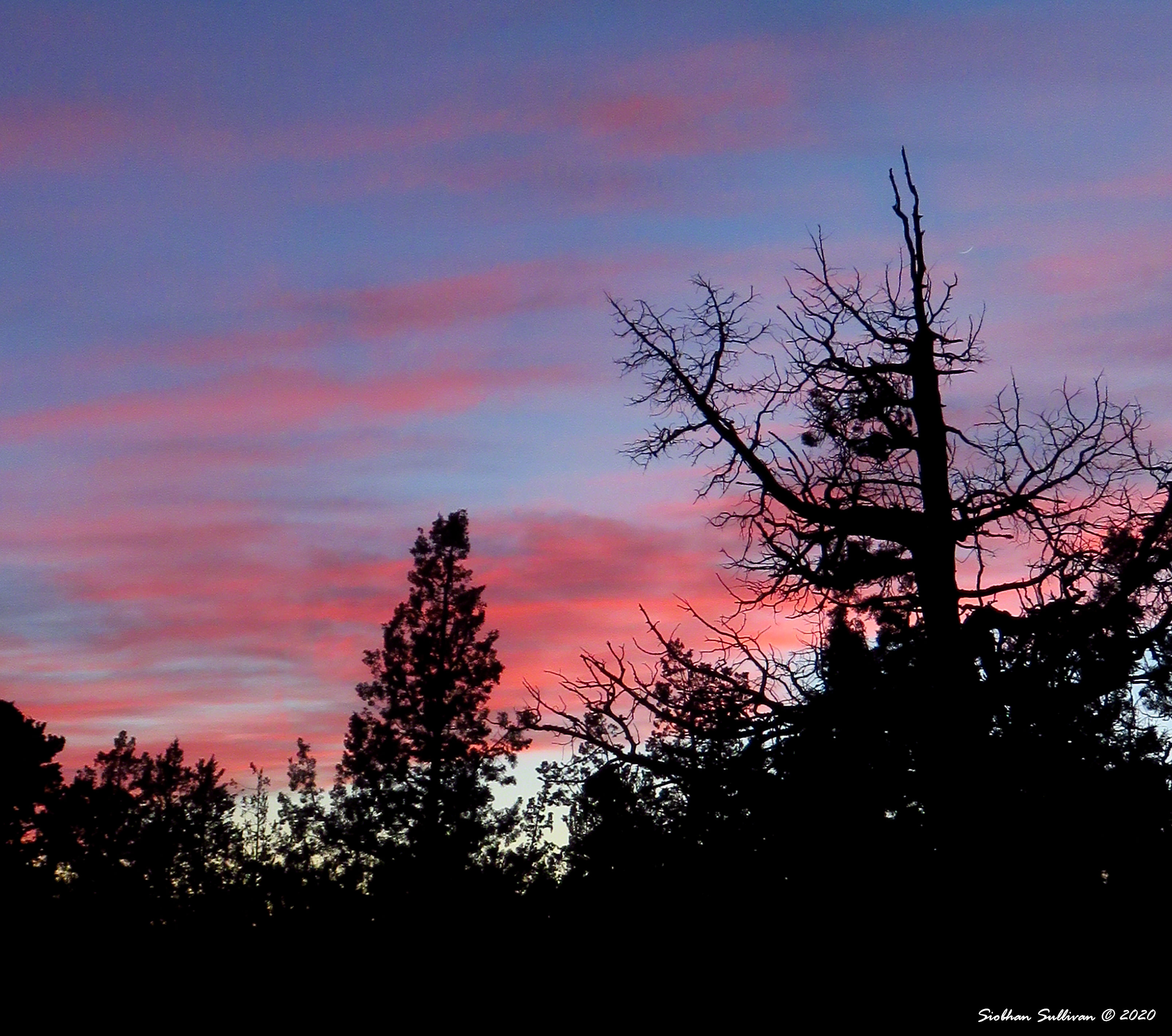 Day breaks and clouds wait: LAPC & Sunday Stills - bend branches