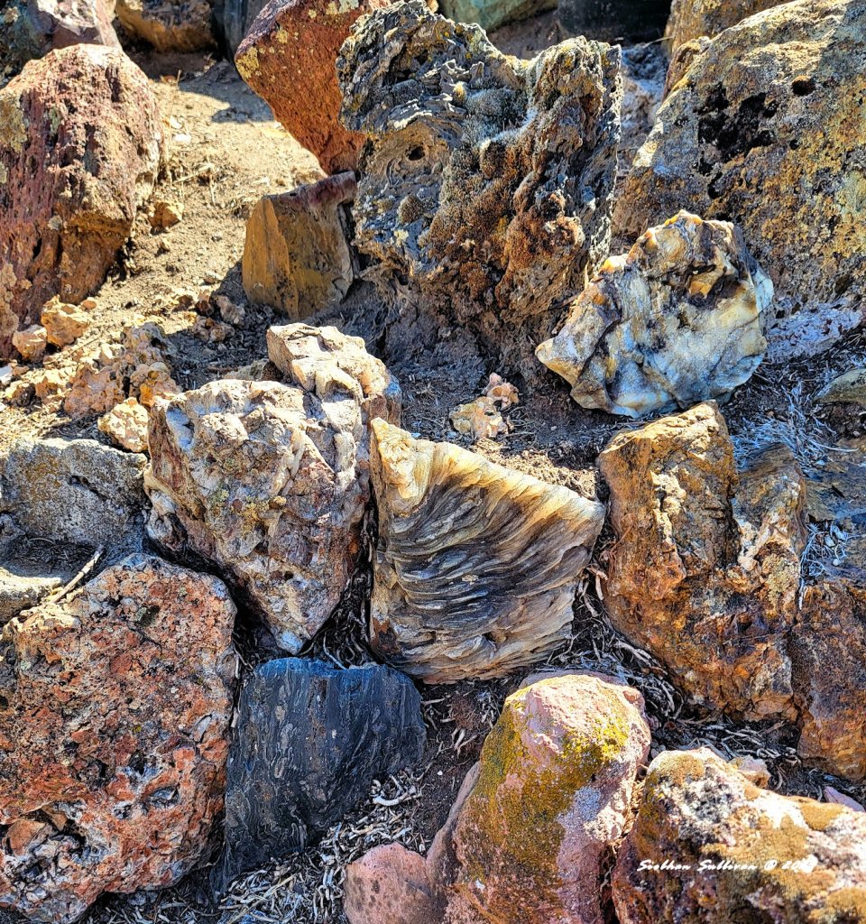 Petersen rocks up close: Macro Monday - bend branches