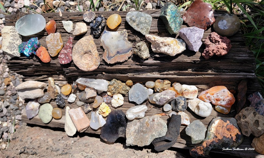 Pretty rocks and fossils: Wordless Wednesday - bend branches